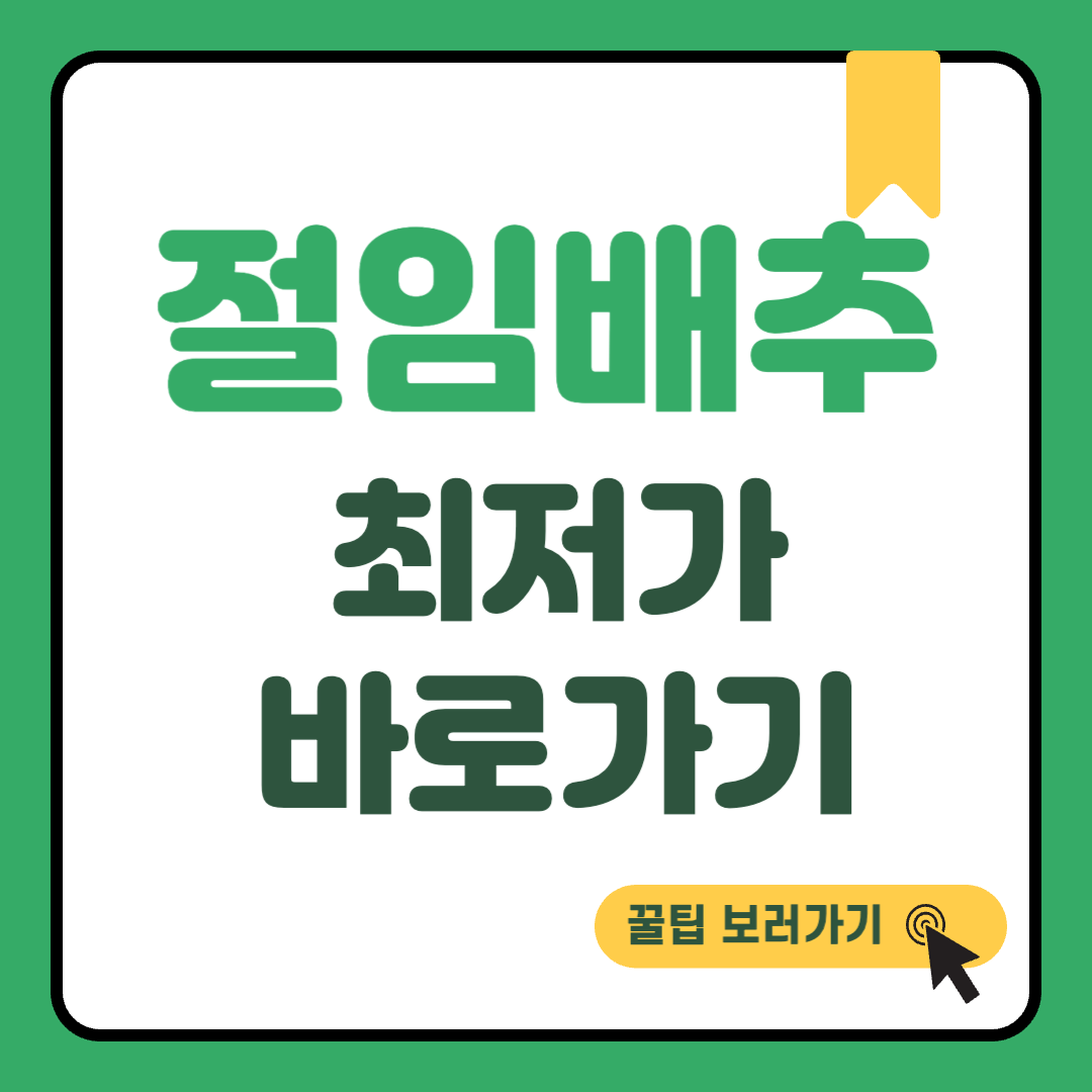 절임배추 썸네일