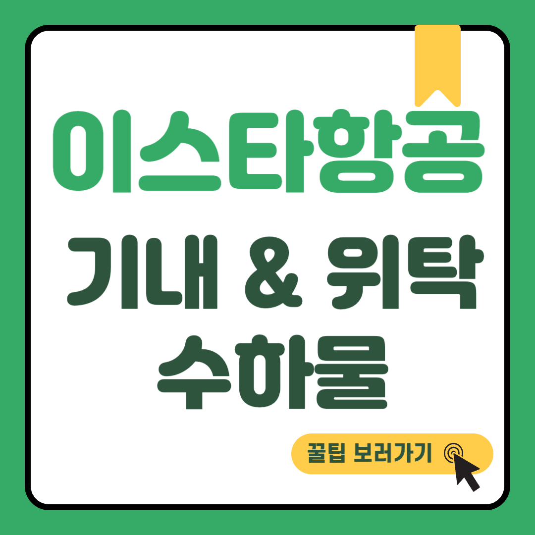 이스타항공 수화물 썸네일